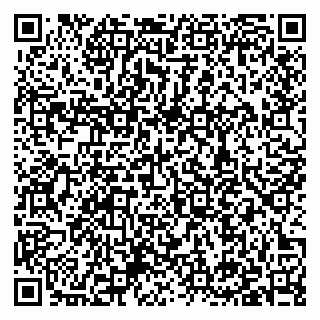 vCard 79397138207