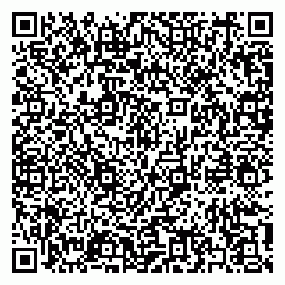 vCard 79397138217