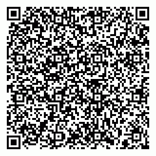 vCard 79397138220