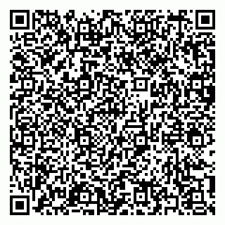 vCard 79397138233