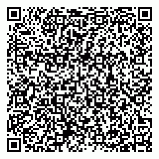 vCard 79397138241
