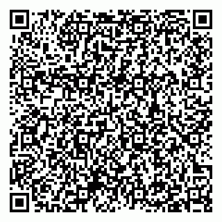 vCard 79397138271