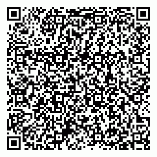 vCard 79397138285