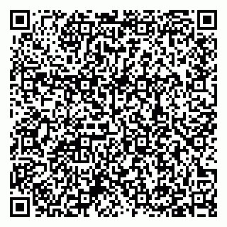 vCard 79397138287