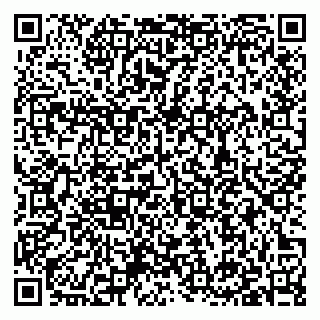 vCard 79397138293