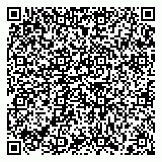 vCard 79397138295
