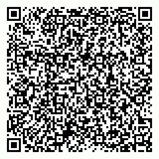 vCard 79397138299