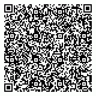 vCard 79397138300