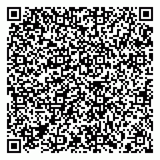 vCard 79397138301
