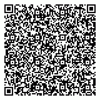 vCard 79397138413