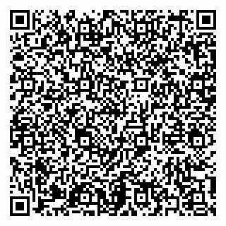 vCard 79397138500