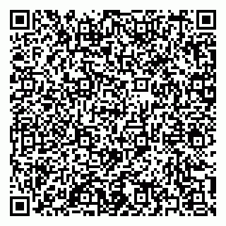 vCard 79397138667