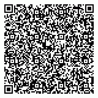 vCard 79397138700