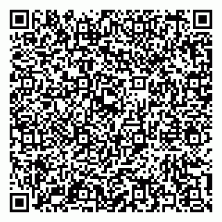 vCard 79397138701