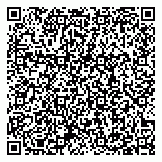 vCard 79397138705