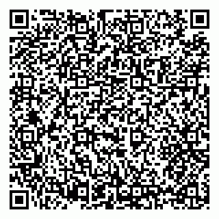 vCard 79397138706