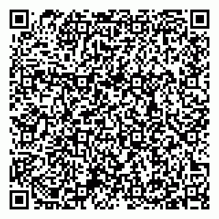 vCard 79397138731