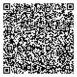vCard 79397138737