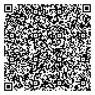 vCard 79397138803