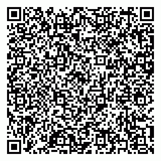 vCard 79397138829
