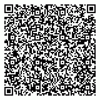 vCard 79397138851