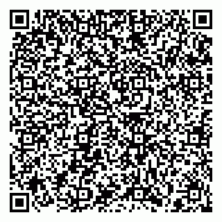 vCard 79397138863