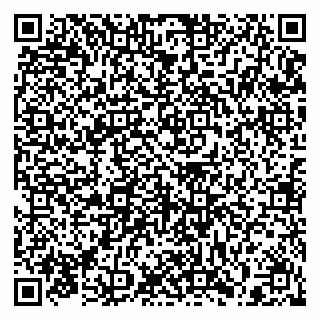 vCard 79397138903
