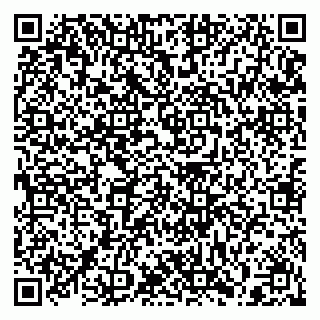 vCard 79397139030