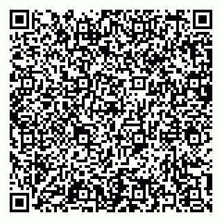 vCard 79397139031