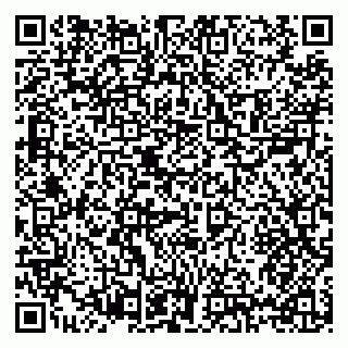 vCard 79397139033