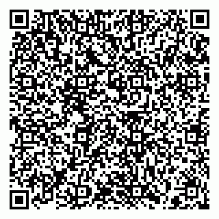 vCard 79397139093