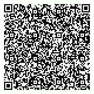 vCard 79397139133