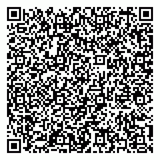 vCard 79397139285