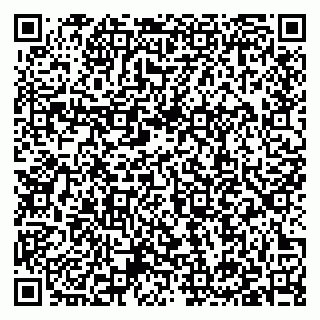 vCard 79397139331