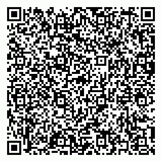 vCard 79397139337