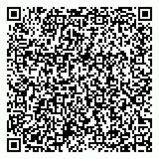 vCard 79397139503