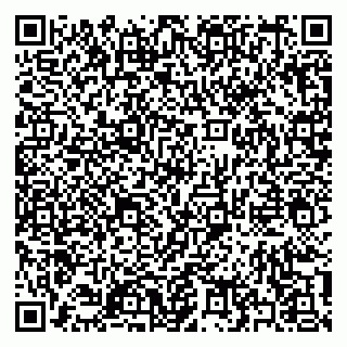 vCard 79397139685