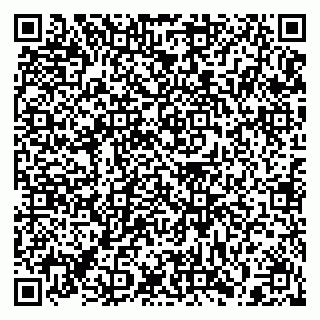 vCard 79397139903