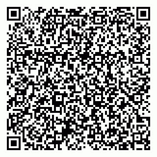 vCard 79397140011