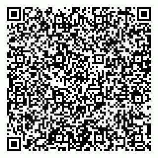 vCard 79397140013