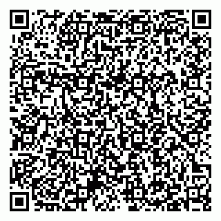 vCard 79397140031