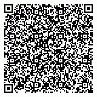 vCard 79397140033