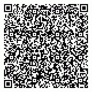 vCard 79397140089