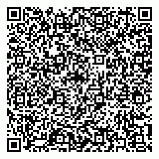 vCard 79397140209