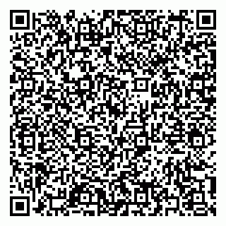vCard 79397140281