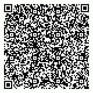 vCard 79397140293