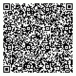 vCard 79397140295