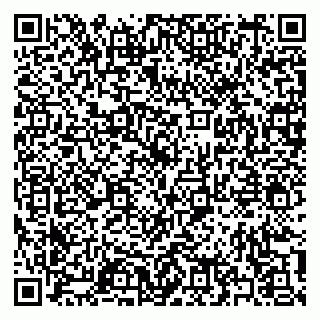 vCard 79397140297
