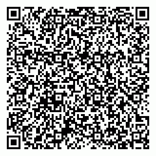 vCard 79397140299