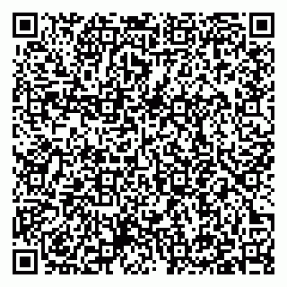 vCard 79397140300
